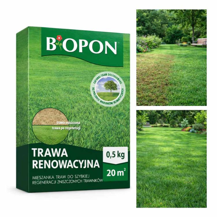 Nasiona trawy Biopon Trawa renowacyjna regeneracja trawnika 0,5kg