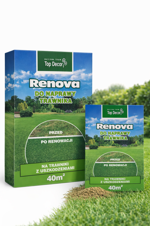 Trawa renowacyjna Top Decor Renova nasiona trawy do naprawy trawnika 40m2 regeneracja darni