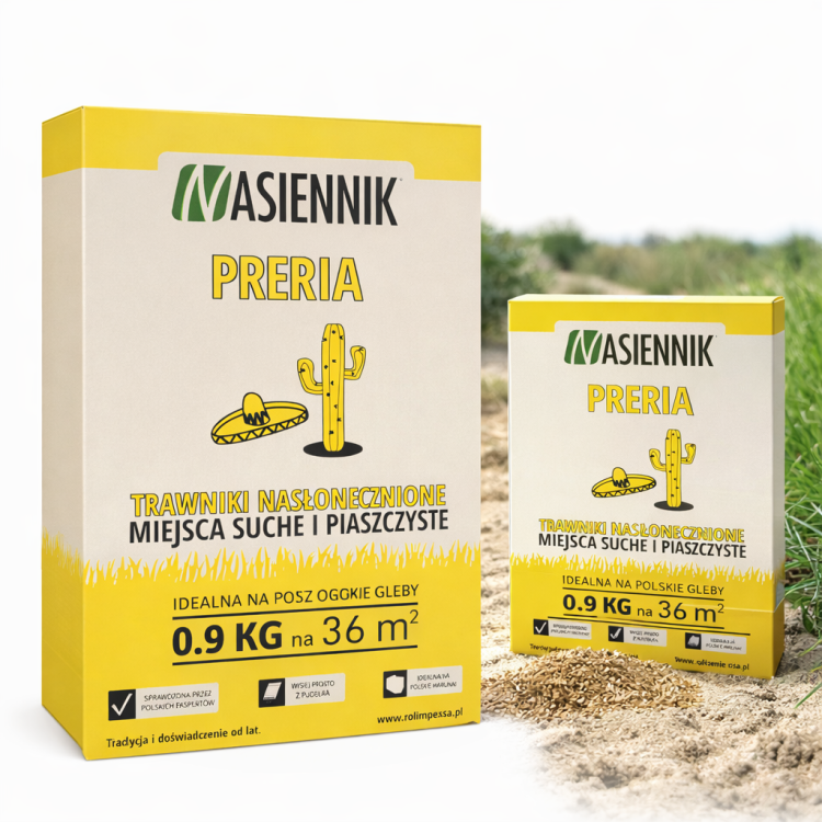 Trawa na miejsca słoneczne i suche Masiennik Preria mieszanka nasion trawy 0,9 kg na 36 m2
