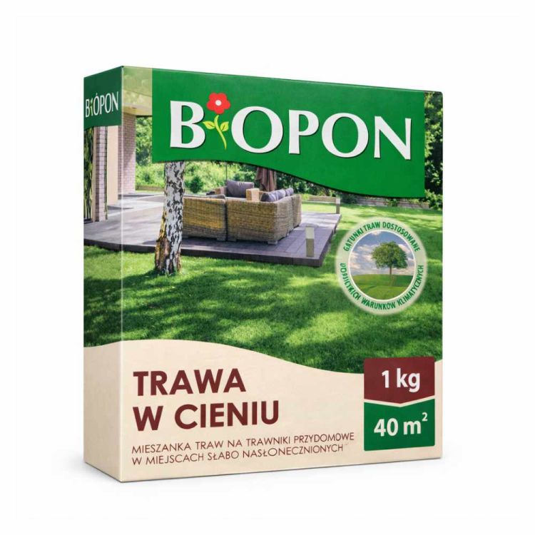 Trawa w cieniu Biopon nasiona trawy do zacienionych miejsc 1 kg 40 m²