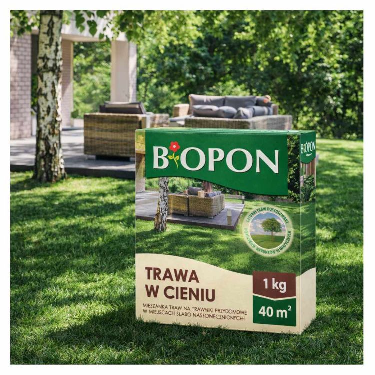 Trawa w cieniu Biopon nasiona trawy do zacienionych miejsc 1 kg 40 m²