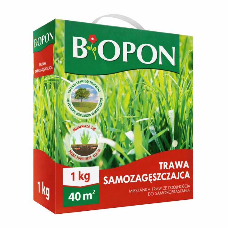 Trawa samozagęszczająca Biopon nasiona trawy samorozrastającej 1 kg 40 m2