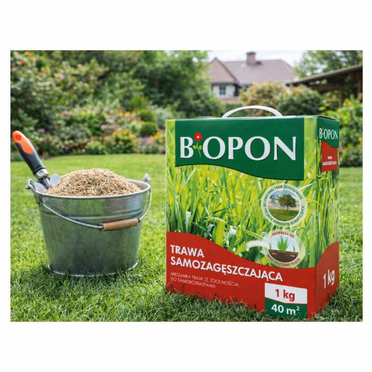 Trawa samozagęszczająca Biopon nasiona trawy samorozrastającej 1 kg 40 m2