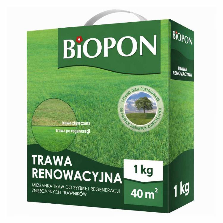 Trawa renowacyjna Biopon mieszanka nasion do regeneracji trawnika 1kg 40m2