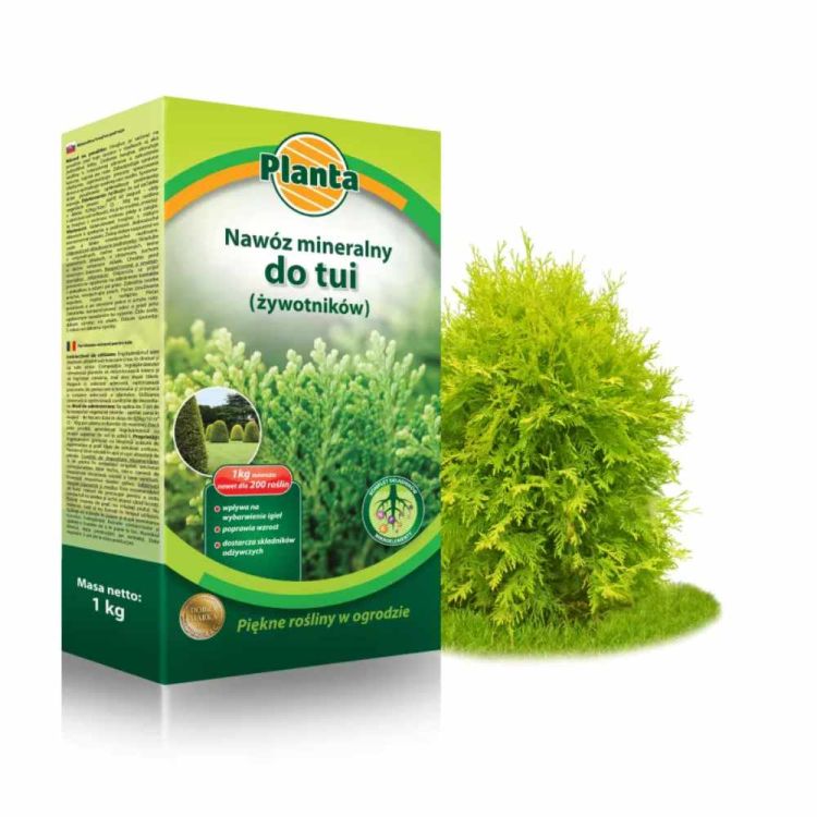 Nawóz mineralny Planta do tui 1kg granulowany wieloskładnikowy do żywotników