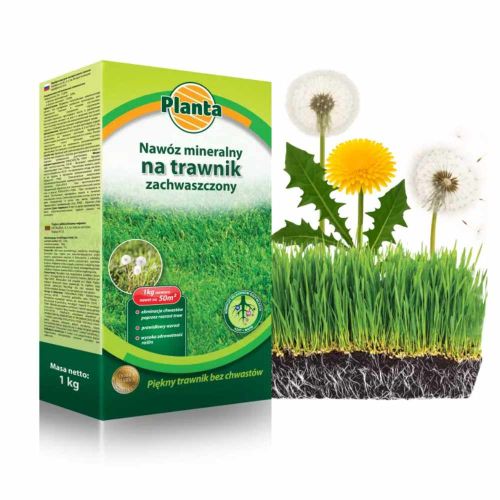 Nawóz mineralny planta na trawnik zachwaszczony 1kg na chwasty do trawy