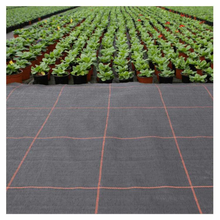 Agrowłóknina Agrimpex AgroLA 3,2x5m 100g czarna przeciw chwastom