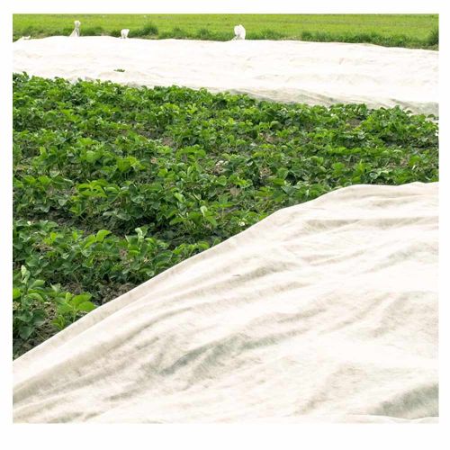 Agrowłóknina biała Planta P19 1,6x5m okryciowa wiosenna przeciw przymrozkom UV