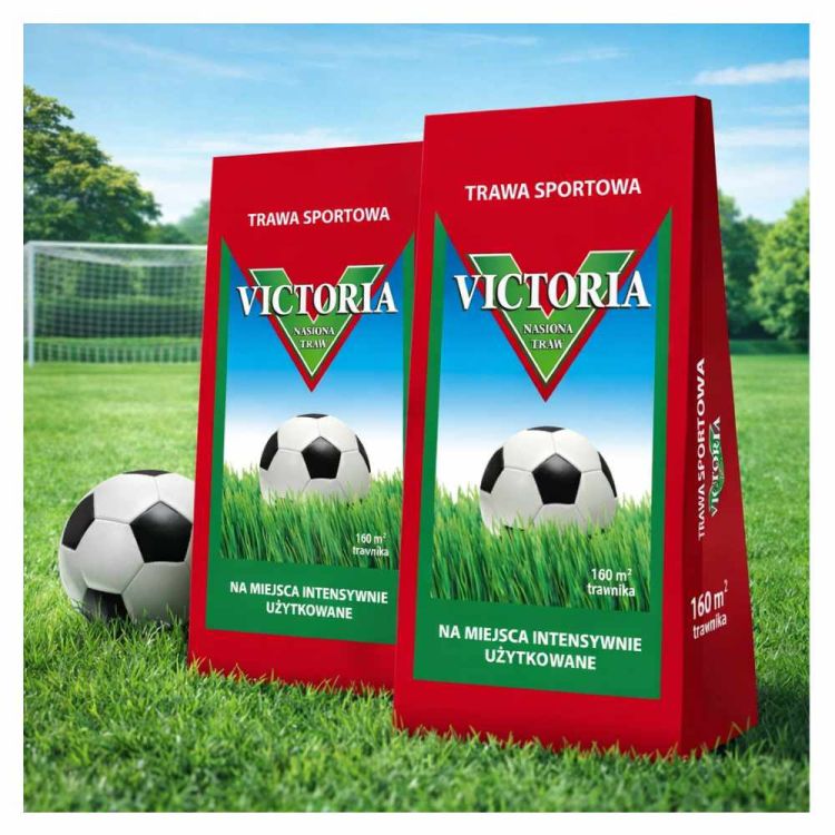 Trawa sportowa Victoria Top Decor 4kg mieszanka odporna na intensywne użytkowanie