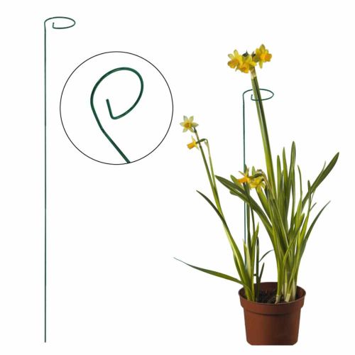 Podpora roślin 4iQ 110cm metalowa z oczkiem zielona do ogrodu