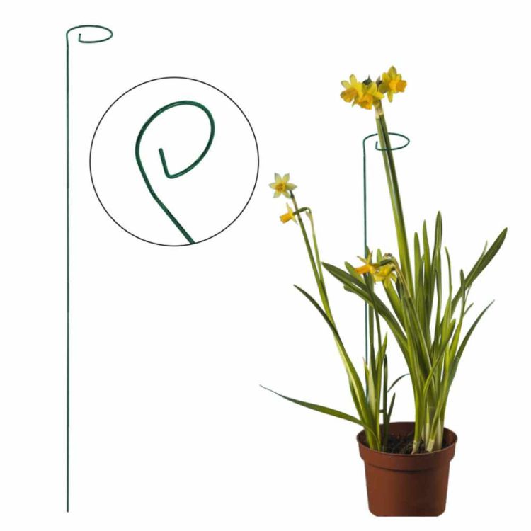 Podpora roślin 4iQ 110cm metalowa z oczkiem zielona do ogrodu