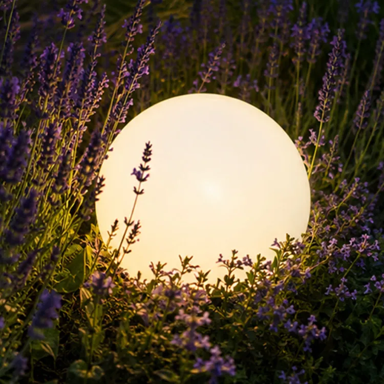 a87f6041cc9a40f7b810611c5d42a108.jpg