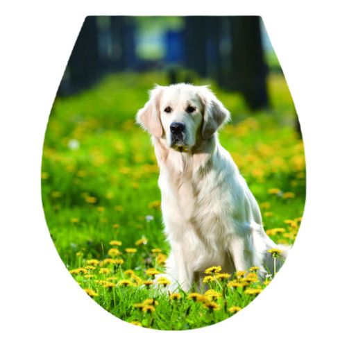 42977ef4148251e280ce583dfd6ce34f