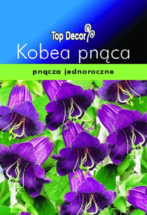 92a97e8c2ba0acb67c740d8da2040d52