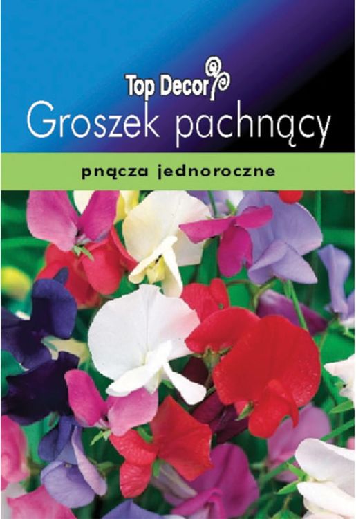7946ddb1d75a8a70bd0d38877bc56054