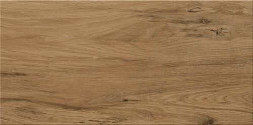 4203969b51a43cce77690ce75fb0343a