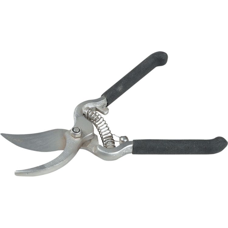 f4276caf89246ad572af4e4df42f3b05