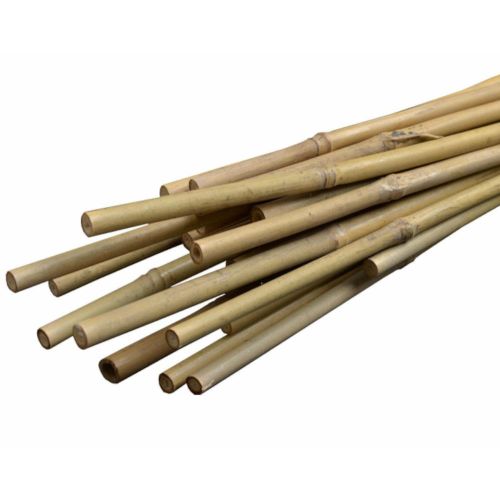 fa3545f9f83c3246be7ee4b41e80c6c5