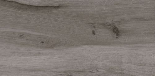 Gres szkliwiony Ashville Grey 29,7x59,8 G1 – zdjęcie 1