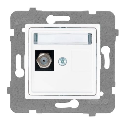 Rosa gniazdo pojedyńcze typu F białe – zdjęcie 1