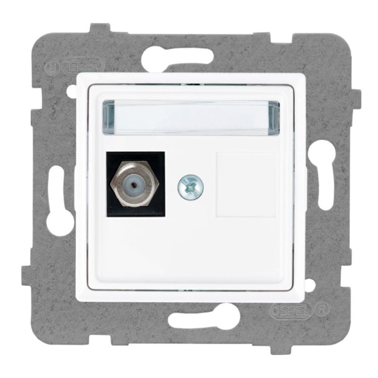 Rosa gniazdo pojedyńcze typu F białe – zdjęcie 1