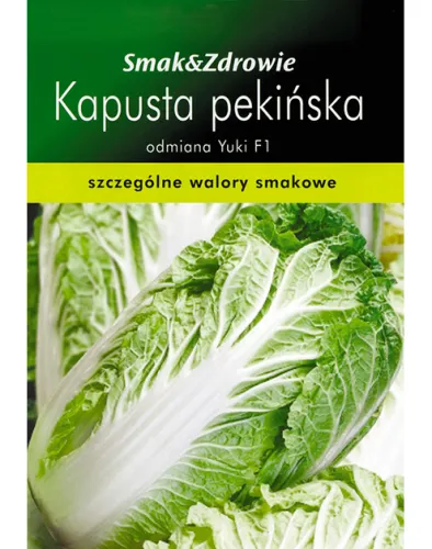 Kapusta pekińska Michihili – zdjęcie 1