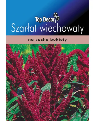 Szarlat wiechowaty – zdjęcie 1