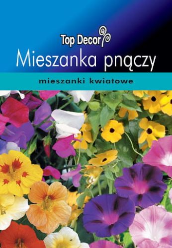Mieszanka pnączy – zdjęcie 1