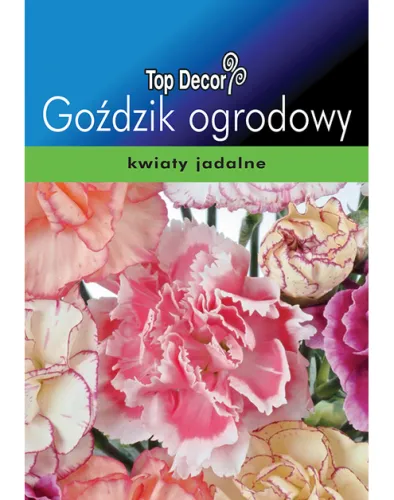 Gożdzik ogrodowy – zdjęcie 1