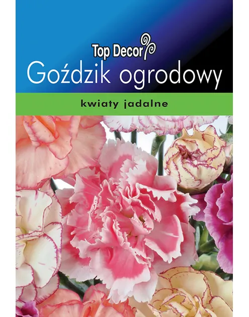 Gożdzik ogrodowy – zdjęcie 1