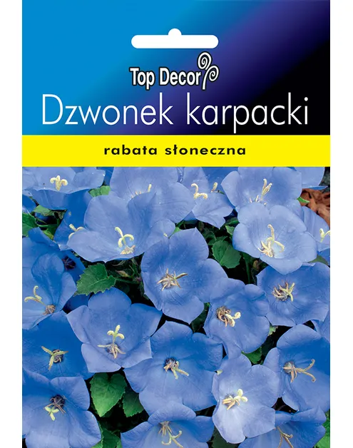 Dzwonek Karpacki niebieski – zdjęcie 1