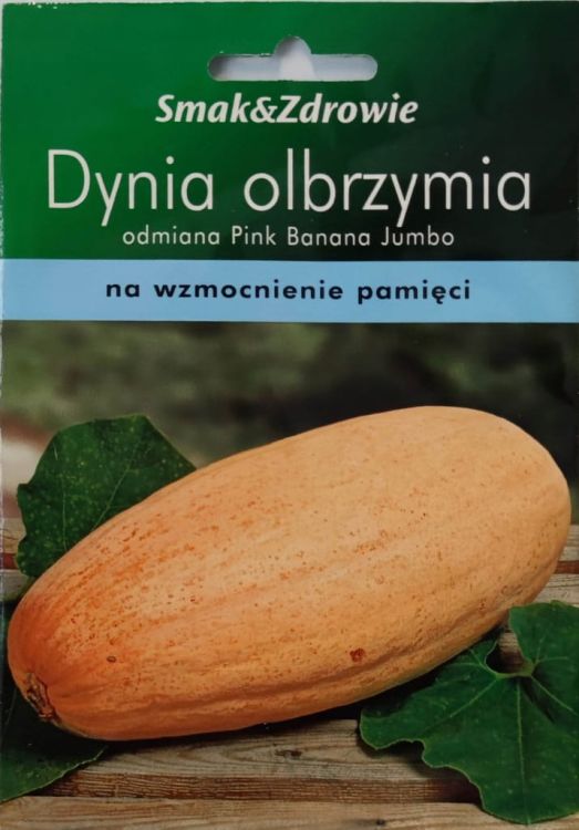 Dynia olbrzymia Pink Banana – zdjęcie 1