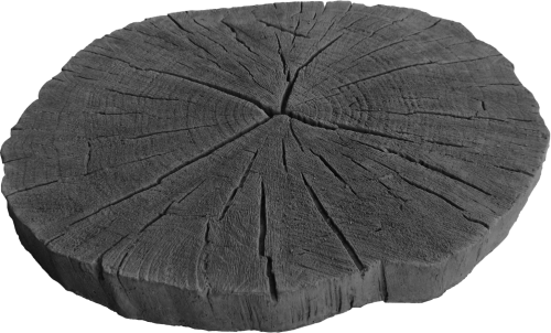 Deptak trawnik pniaczek stalowy – zdjęcie 1