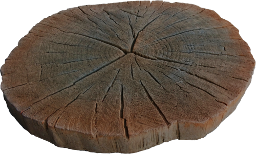 Deptak trawnik pniaczek brąz – zdjęcie 1