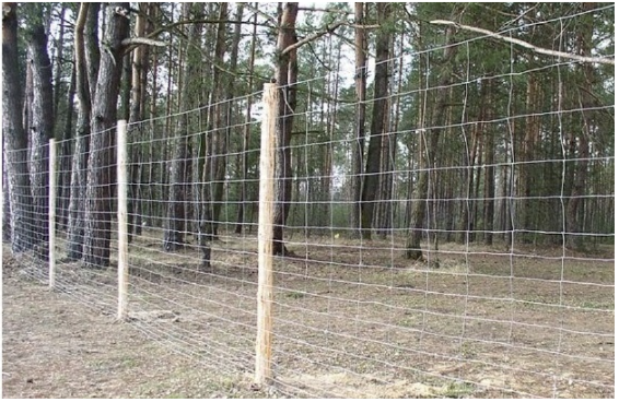 Siatka rolno-leśna 120/9/30 L50 m – zdjęcie 4