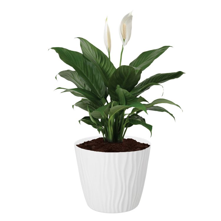 Doniczka Sahara 22cm 07621 biały – zdjęcie 2