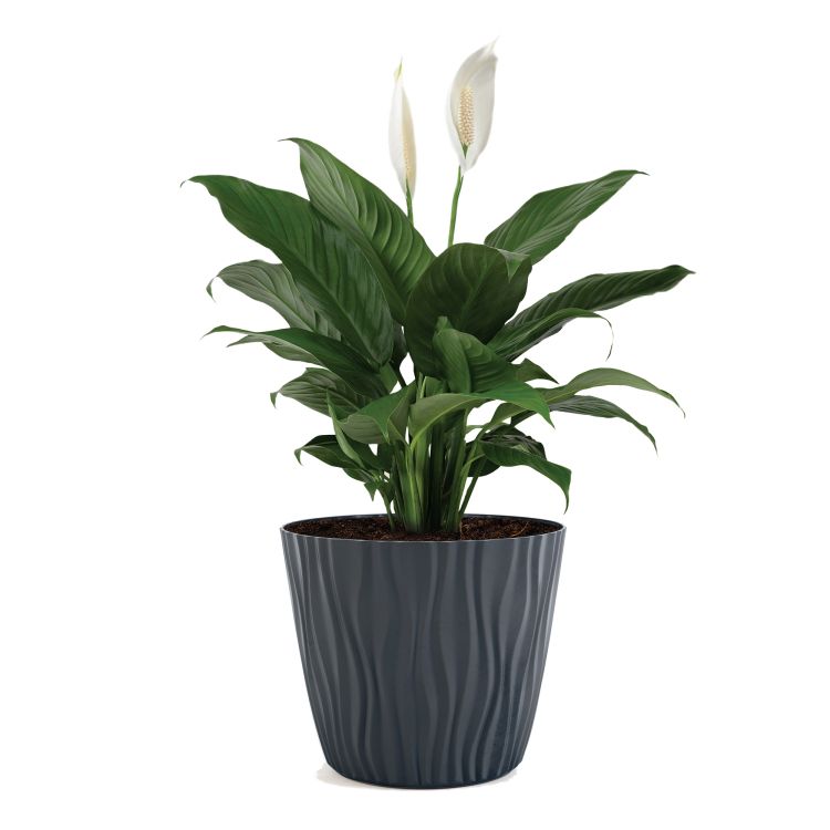 Doniczka Sahara 22cm 07621 antracyt – zdjęcie 2