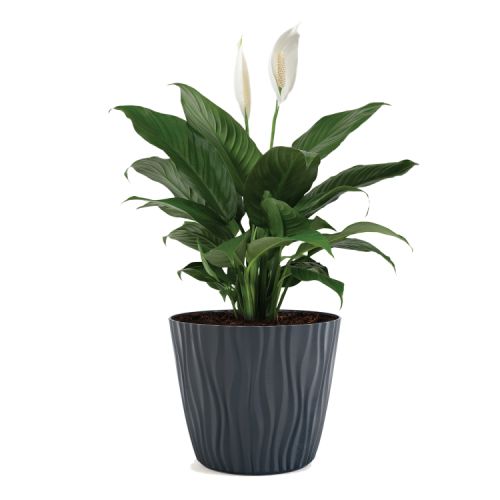 Doniczka Sahara 18cm 07614 antracyt – zdjęcie 2