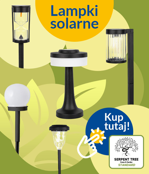 Lampy solarne w Mrówce Online! Sprawdź ofertę!